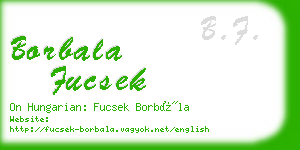borbala fucsek business card